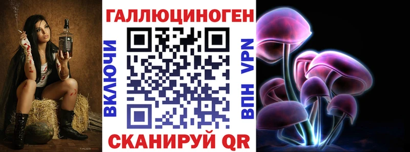 купить наркоту  Прохладный  Псилоцибиновые грибы Psilocybe 