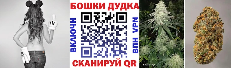 Бошки марихуана сатива  где найти   Прохладный 